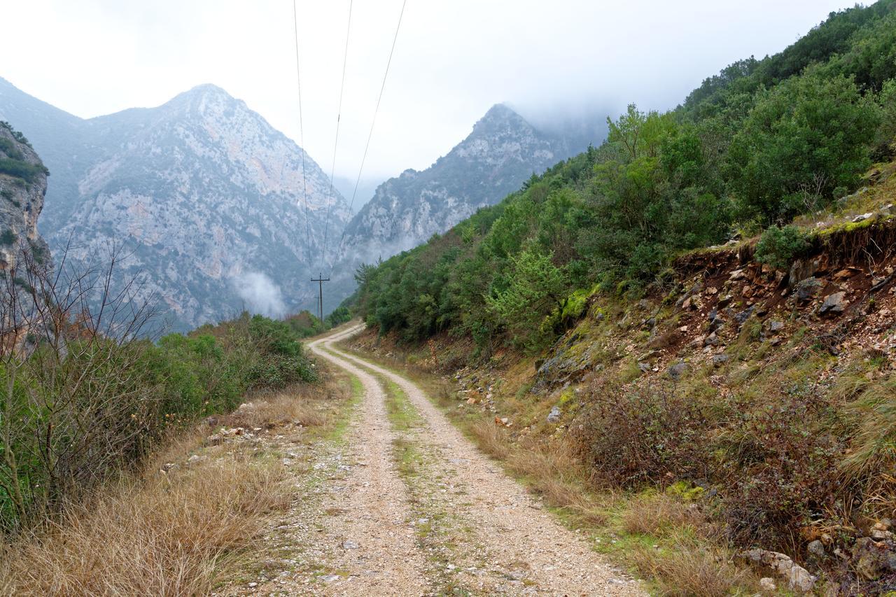 Ξενοδοχείο Αλεξάνδρα Καλέντζι Εξωτερικό φωτογραφία